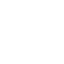 learning (1)